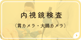 内視鏡検査（胃カメラ・大腸カメラ）